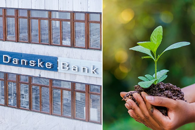 En bild på Danske Banks logga och grön växt