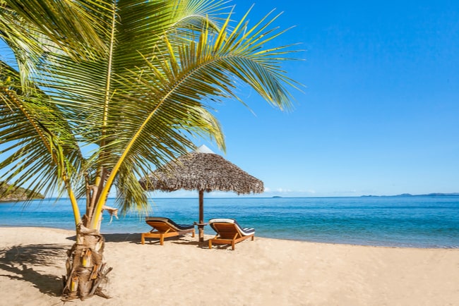 Sandstrand med en palm, två solstolar och ett parasoll